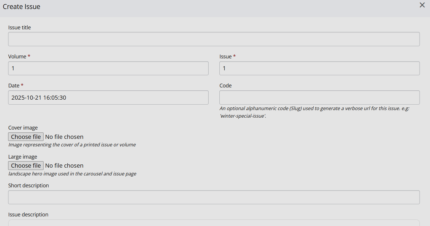 An empty create issue form