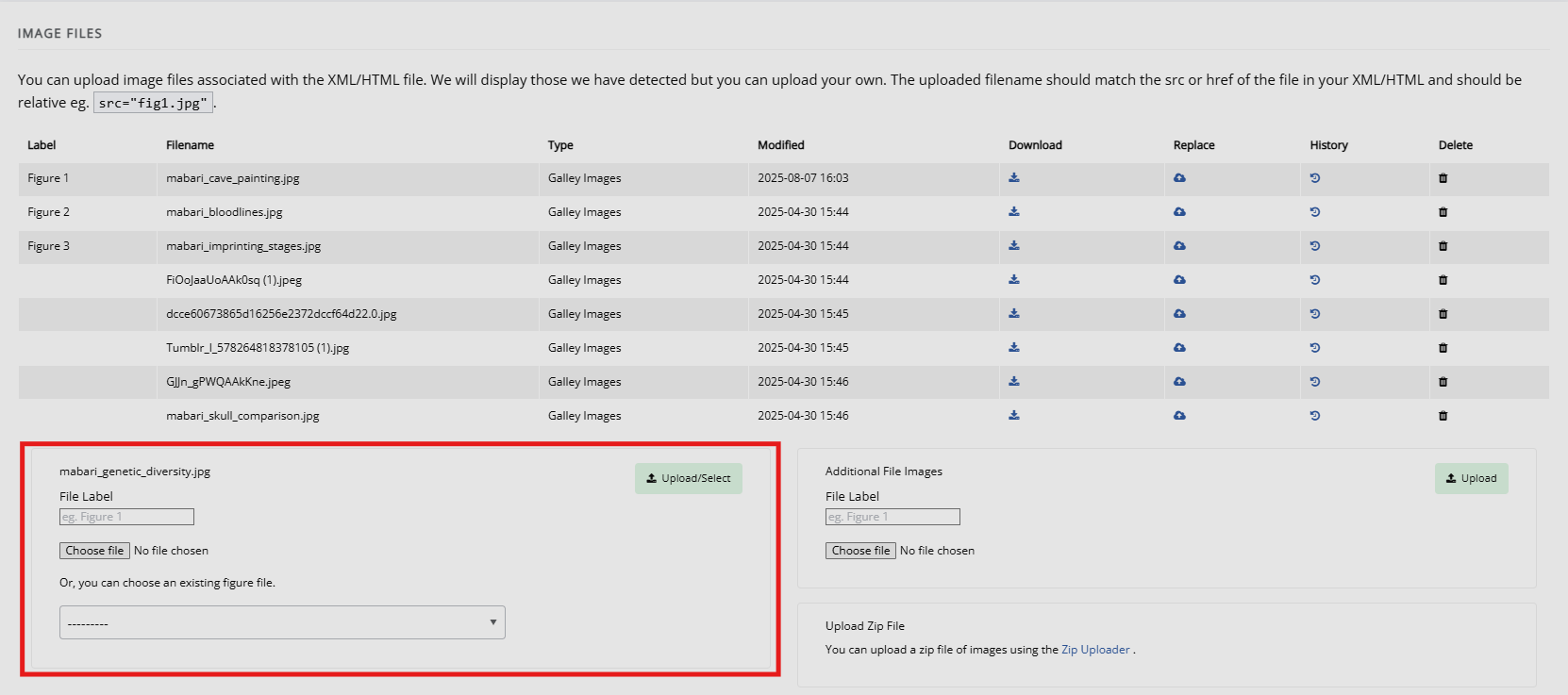 "The image files page, with the image upload block highlighted."
